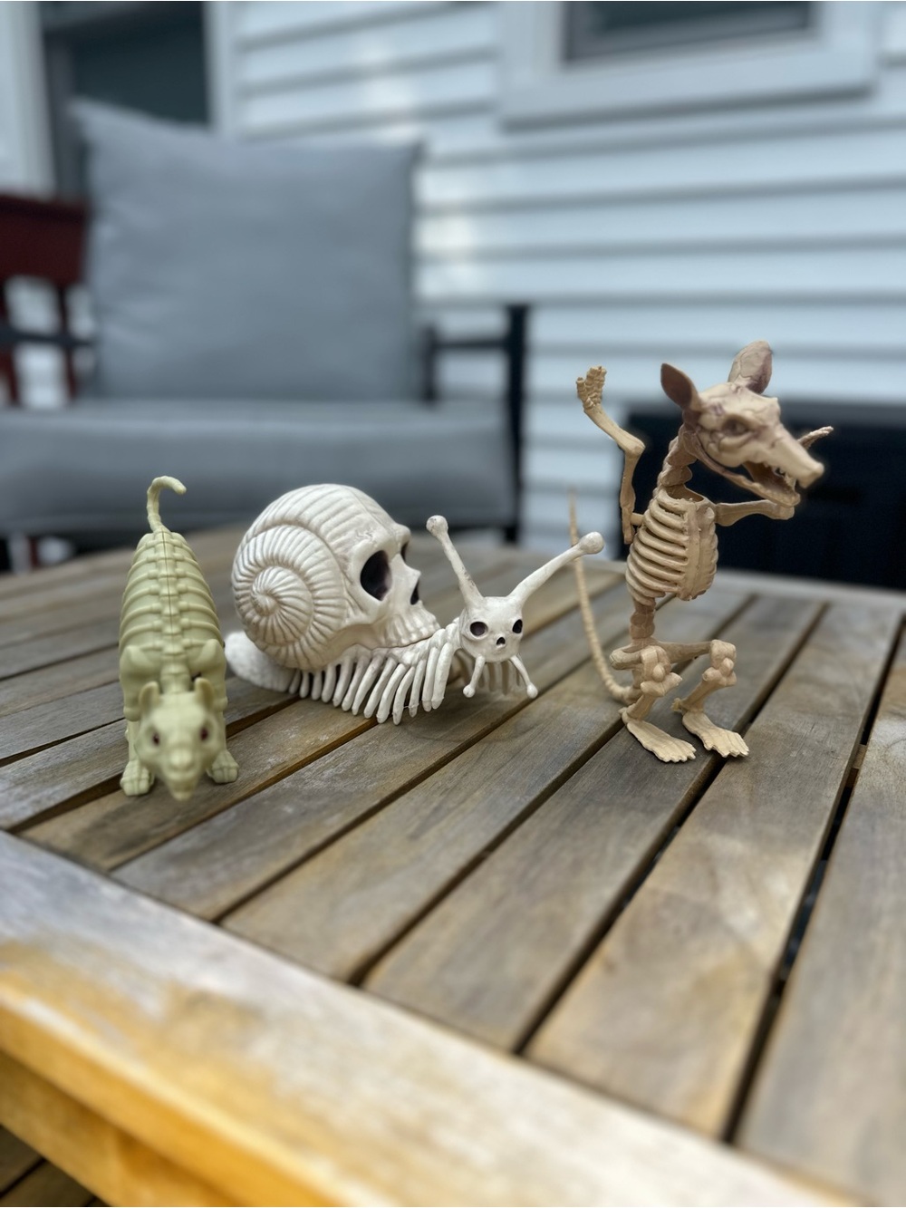 Small Decorative Skeleton Set - Picture 2 of 2